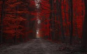 Whether you are looking for essay, coursework, research, or term paper help, or help with any other assignments, someone is always available to help. Red And Black Aesthetic Wallpaper Landscape Black Aesthetic