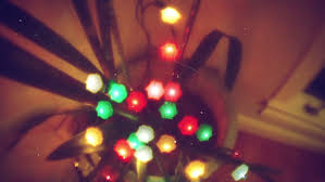 We did not find results for: Retro Looking Christmas Lights Stock Footage Video 100 Royalty Free 8318362 Shutterstock