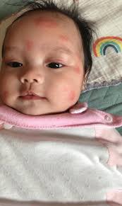 Some good news to the people who have monkey menace !!!  -----------------------------------------------------------------------------  The laser pointer was used to chase away the monkeys towards the early  morning and after 4.30 PM in the