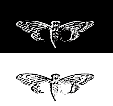 The uncovering cicada wiki is the main information hub pertaining to the mystery of cicada 3301. Origin Of Cicada 3301 Logo Uncovering Cicada Wiki Fandom