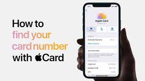 In this demo, you can lookup for credit card issuer information recognized in our engine by using the front 6 digits bin (bank identification number) / iin (issuer identification number). Apple Card How To Find Your Card Number Youtube