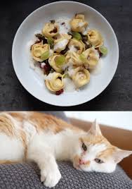 Jede woche samstag um 18 uhr: Wer Will Schon Immer Bloss Kasetoast Essen Janina Vom Foodblog Bei Freunden Mit Sicherheit Nicht Moderne Topfologie Food Wine