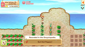 Fall Festival Harvest Moon Light Of Hope Walkthrough Neoseeker