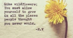 Well, i, for one, think we will survive, and i hope that along the way we can keep alive our experience with the flowering earth. Be A Wild Flower Quote Nauticalwheeler Senior Quotes Wild Flower Quotes Flower Quotes