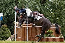 The mongol horse (mongolian адуу, aduu: Eventing Wikipedia