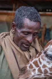 Celebrating World Giraffe Day