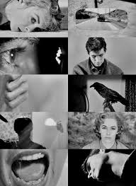 Tumblr Hitchcock Film Classic Horror Movies Horror Movies