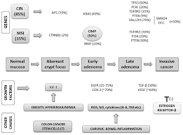 Colon cancer is a type of cancer that begins in the large intestine (colon). Precancerous Colorectal Lesions Review