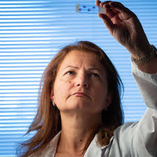 Pushing the boundaries of scientific discovery