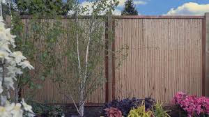 See more ideas about bamboo, garden, plants. How To Install Garden Screening Primrose Blog