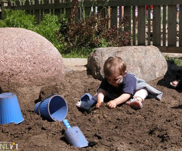 Questions About Digging in the Dirt | NLI