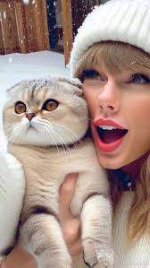 Why is the game being stopped for grass fires?