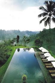 Infinity Pool In The Forest Amazing Swimming Pools Cool Swimming Pools Swimming Pool Designs