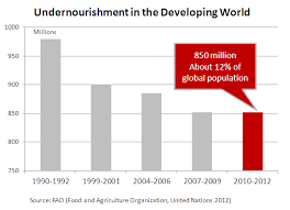 Global Hunger 870 Million Undernourished 12 Of The World