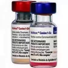 VACINA - IMPORTADA NOBIVAC CANINE