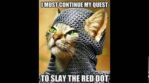 Cute Quest Funny Meme Pet Cat Quotes Funny Funny Animal Pictures Cute Cats