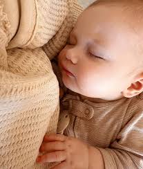 Daily dose of Darcy 🐿️🕊️💞🙂‍↕️