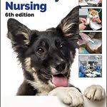 pin von nika auf tiere hundegesundheit gebet tierarzt
