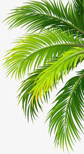 Leaves Png And Clipart Palm Trees Painting Palm Tree Sticker Plant Wallpaper
