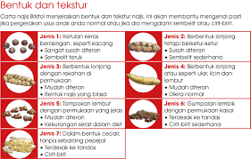 (konstipasi) definisi sembelit (konstipasi) adalah suatu keadaan dimana seseorang mengalami kesulitan buang air besar atau jarang buang air besar. Bentuk Dan Tekstur Poop Positive Parenting