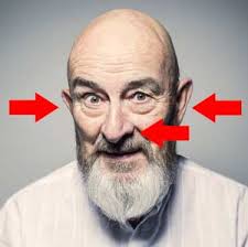 World's largest nose that also works as a mouth Amazing Facts About Your Aging Body Some Hard To Imagine Eldercare Home Health Inc