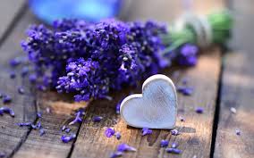 Image result for lavender heart