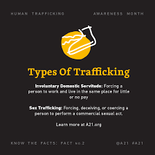 Mandy Maples (@mandy_maples)