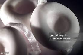 Image result for Contraceptive Sponge