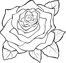How To Make Drawing Of Rose 14 Free Printable Rose Stencils Roses Drawing Flower Drawing Cartoon Drawings