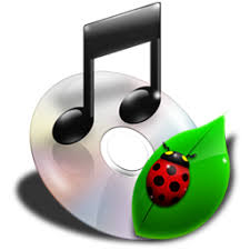 Mp3 Kites Absolutely Free Mp3 Music Search Downloads Mp3 Music Downloads Mp3 Music Adele Hello