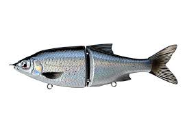 Download Want To Start Fishing Swimbaits Here Is The Tackle You Might Need Tackle Express