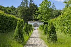 Arborvitae Lining Path Rough Grass Outdoor Design Garden Landscape Design Garden Design