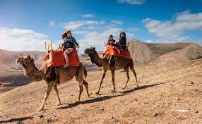 A camel ride in dubai can be part of your service package at arabian desert safari. Book Desert Safari Dubai Tour W Transportation Dotravel