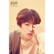 Vav Members Profile Wiki K Pop Amino Van (세인트반) is a member of south korean group vav under a team entertainment. vav members profile wiki k pop amino