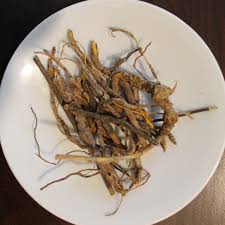 Image result for Cryptolepis