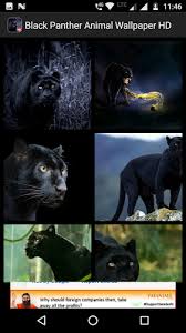Maybe you would like to learn more about one of these? Black Panther Animal Wallpaper Hd Latest Version For Android Download Apk