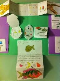 20,605 likes · 6,811 talking about this. Pequenos Torresanos Lapbook De Los Animales Proyecto Con Cono Manualidades Escolares Cuadernos Interactivos De Ciencias Actividades De Aprendizaje Para Ninos