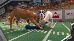 This year, puppy bowl xvi will unleash more dog players than ever before in the hopes that the show's track record of 100 as always, the puppy bowl would be nothing without its intrepid announcers. Puppy Bowl Ix A Year Of Excessive Cuteness Puppy Bowl Ix Youtube