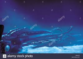 20.000 meilen unter dem meer ist ein roman des französischen schriftstellers jules verne. 000 Meilen Unter Dem Meer Jules Verne Octopus Stockfotos Und Bilder Kaufen Alamy