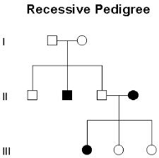 Mendelian Genetics