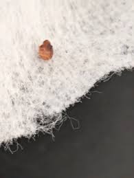 Image result for site:byggahus.se liten