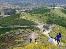 Lake elsinore diamond venue address: Protecting The Poppies Of Walker Canyon Lake Elsinore California The Conservation Fund