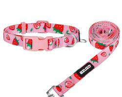 dog and cat wearing matching collars and leashesの画像