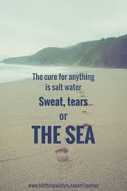 Sweat, tears or the sea. The Cure For Anything Is Salt Water