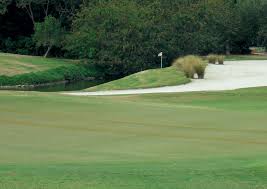 Remediation the soil when a spill occurs on soil, the first steps can often be carried out very quickly. Oil Spills On Turf Facts And Myths Gcmonline Com