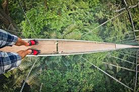 Frim forest trails and canopy walkway were also established mainly for research activities, not for the sole purpose of attracting tourists/visitors to frim. Suspended In Disbelief Malaysia Truly Asia Asia Travel Asia Expat