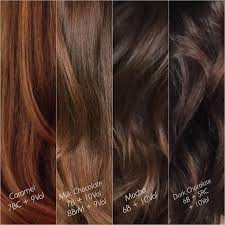 Hair Color Matrix Socolor Swatch Chart Matrix Socolor For