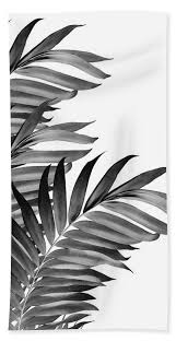 Palm Leaves Tropical Black And White Vibes 1 Tropical Decor Art Beach Towel For Sale By Anitas And Bellas Art In 2020 Black And White Picture Wall Black And White Photo 51 transparent png illustrations and cipart matching tropical leaves. pinterest