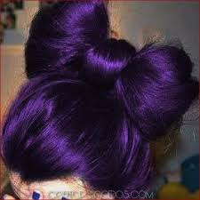 Descubre cuál es el mejor para tu cabello. 50 Fabulosas Sugerencias De Cabello Purpura Cortopeinados Com