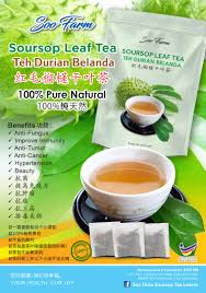 Ketiga senyawa ini berfungsi untuk membatasi atau mengontrol produksi lemak di dalam. Soursop Tea Leaves Posts Facebook